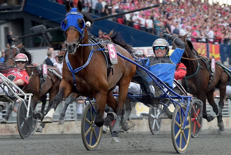 Timoko - vinnare Elitloppet 2017