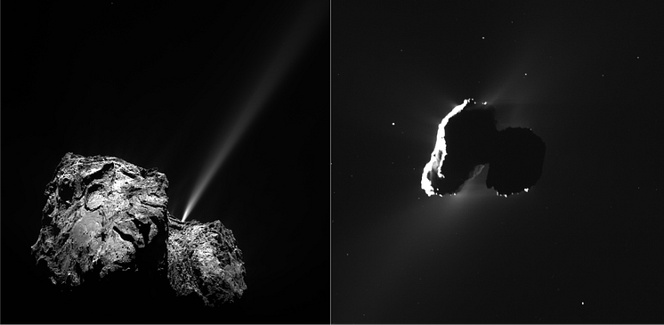 Kometkärnan 67P/Tjurjumov-Gerasimenko / The nucleus of comet 67P/Churyumov-Gerasimenko Cred: ESA:ROSETTA:OSIRIS:NAC.png