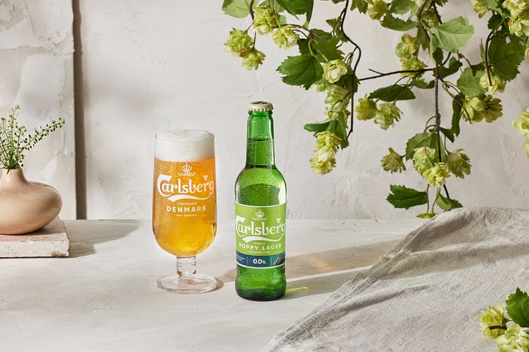 Carlsberg-hoppy-lager-104