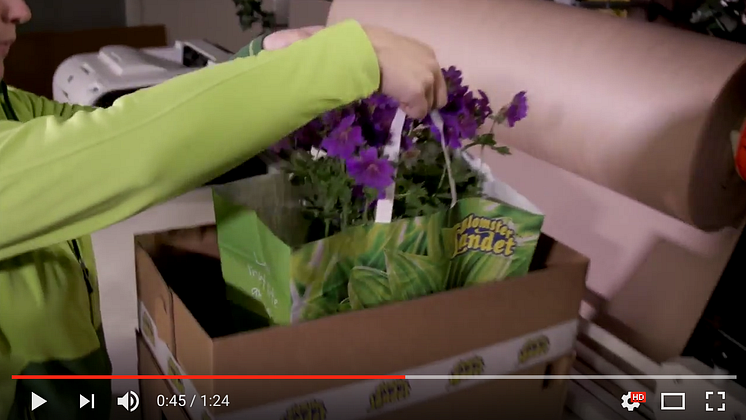 Video - handla i Blomsterlandets E-butik.