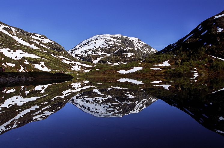 Norwegen bezieht 97% seines Stroms aus Wasserkraft und punktet mit niedrigen Energiepreisen. 