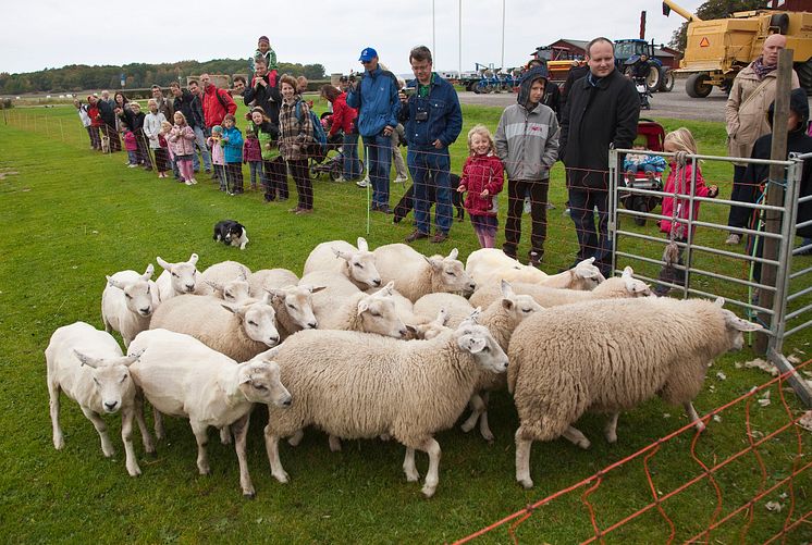 Skördefest på Tjolöholms Slott