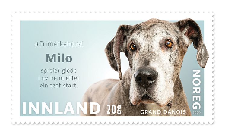 2033_1200 dpi_Milo