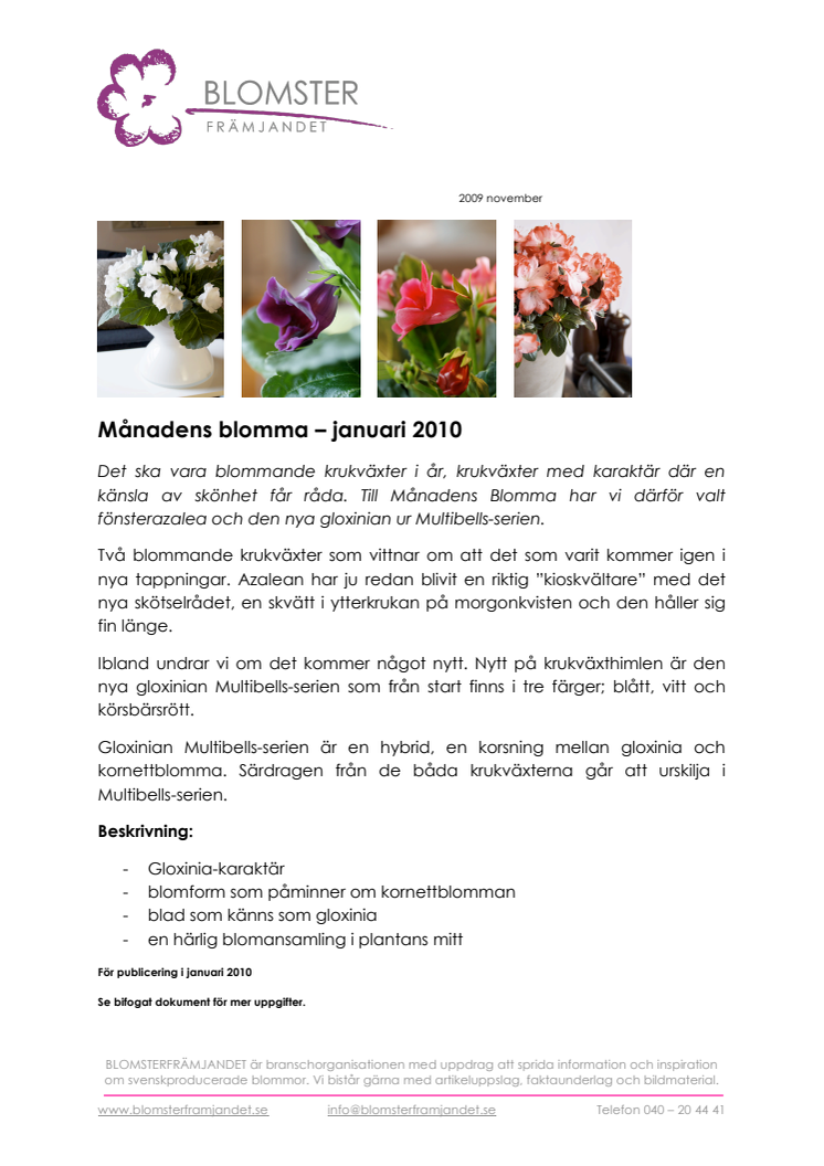 Månadens blomma – januari 2010