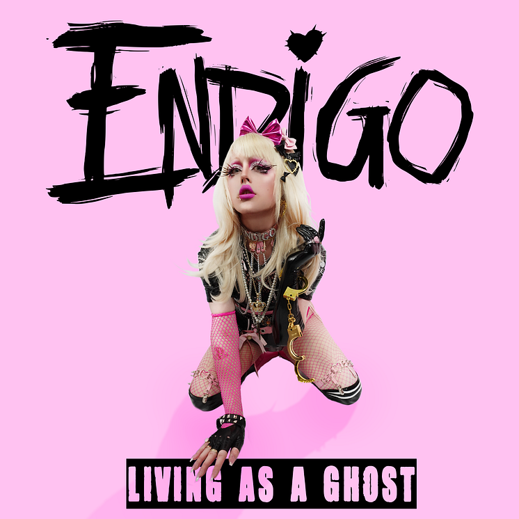 Omslag Endigo "Living As A Ghost"