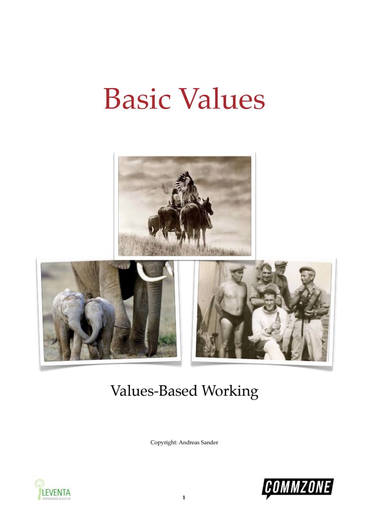 Leventa´s e-book - Values-Based working