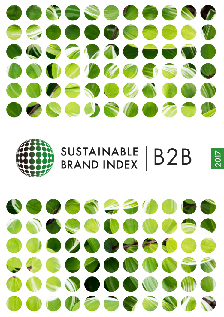 Officiell rapport Sustainable Brand Index B2B 2017