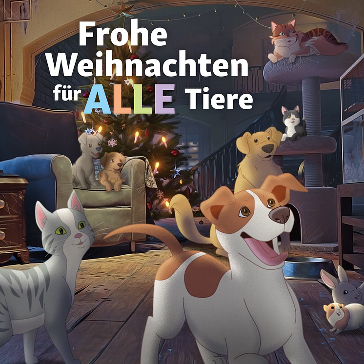 Weihnachtsclip Tierheimwünsche werden wahr.png