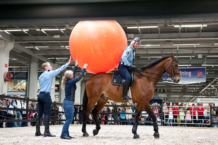 EuroHorse 2013