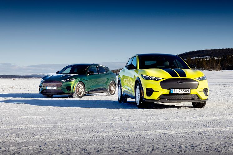 2024 Mustang Mach-E Rally Gol (12).jpg