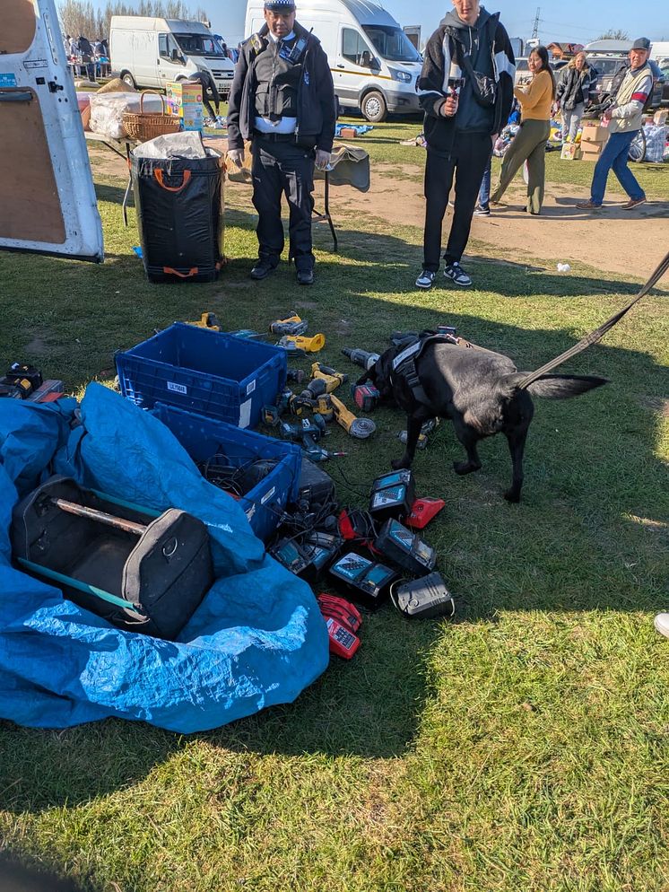 SelectaDNA's dog sniffing out the suspected stolen goods.JPG