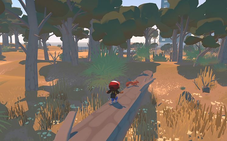 Alba A Wildlife Adventure Screenshot