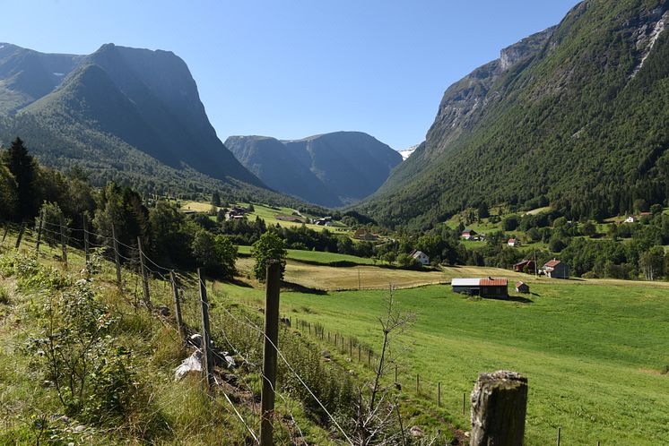 Vik i Sogn. 