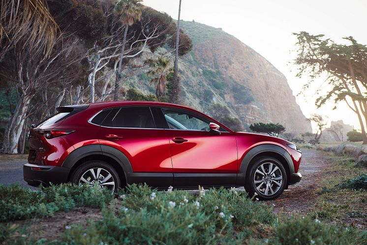 Mazda_CX-30_2020_Global_Image_Exterior_2_until-Mar-2025.jpg