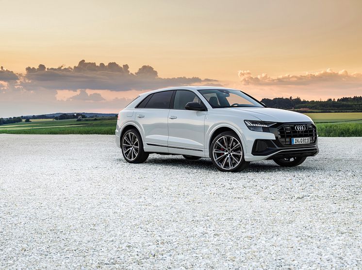 Audi Q8 60 TFSI e quattro (Gletsjerhvid)