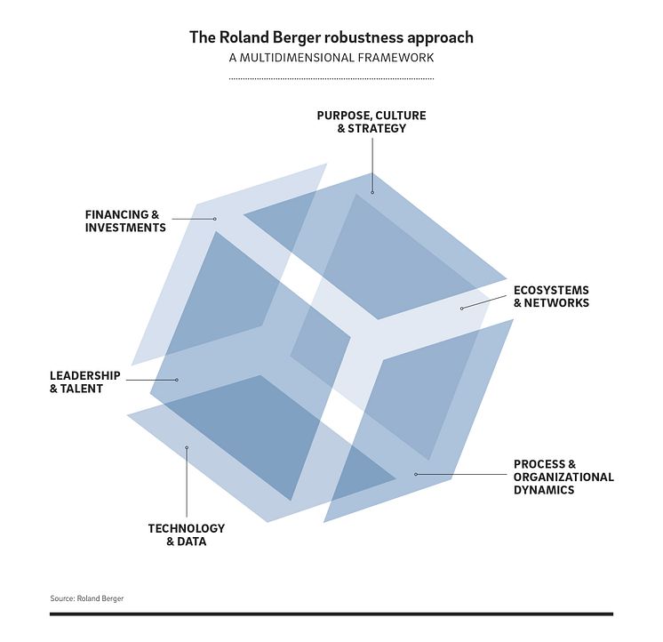 Robust Organization Press Graphic 1