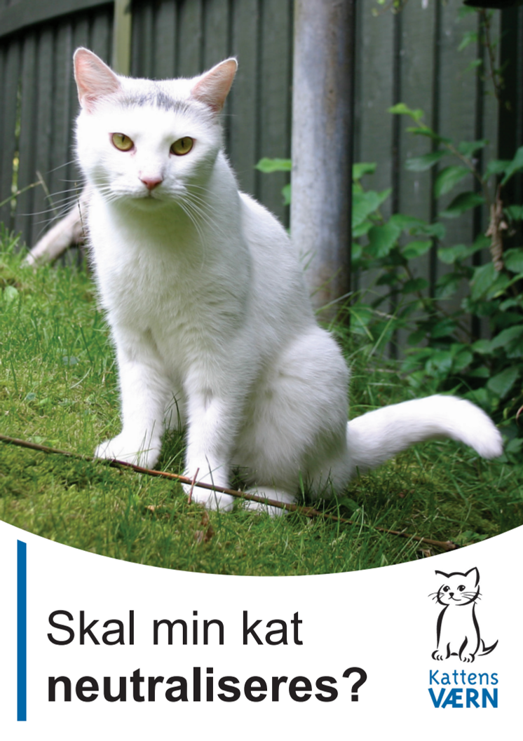 Skal min kat neutraliseres?