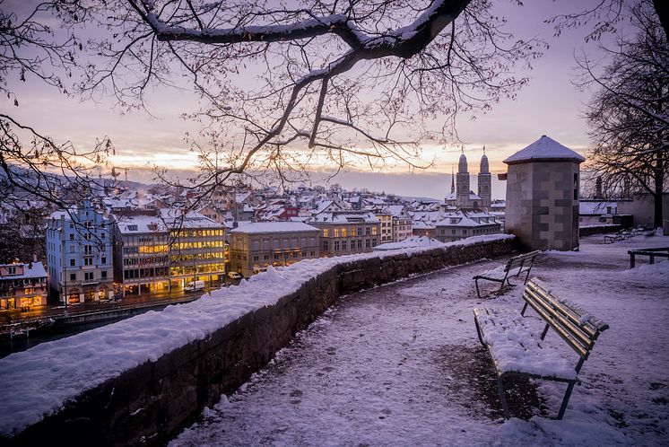 Blick vom Lindenhof Zuerich 