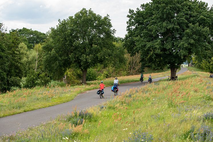 Oder-Neiße-Radweg_TMB-Fotoarchiv_Steffen_Lehmann