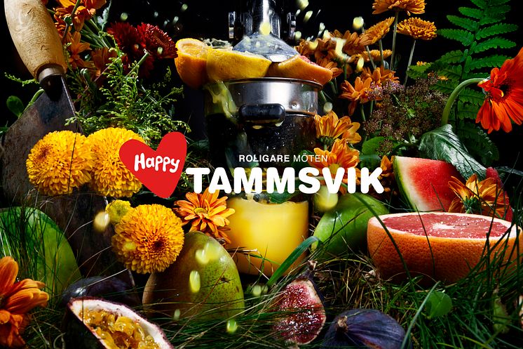 Energi - på Happy Tammsvik