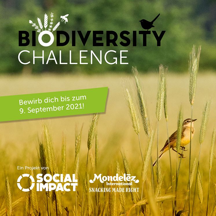 Mondelez_Biodiversity Challenge_Bild2.jpg