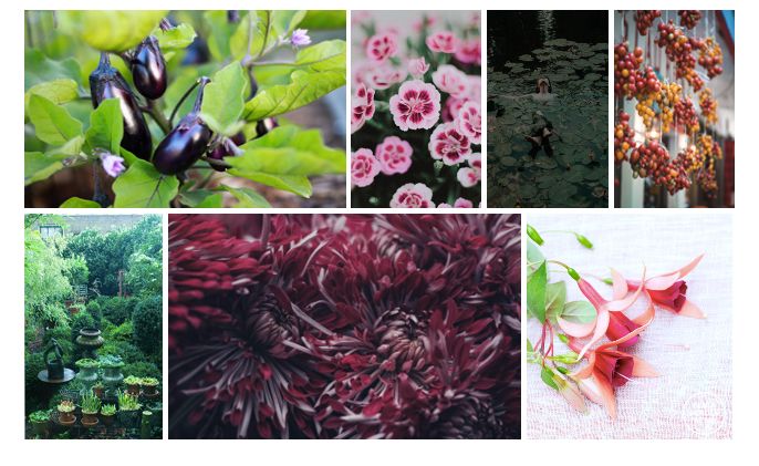 Elmia Garden Trends 2022 | Lust och längtan | Växter ute