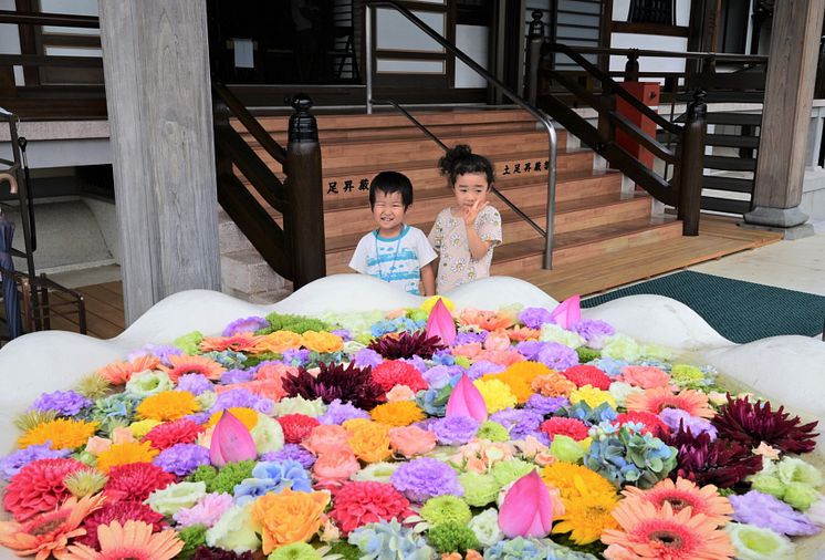 Kawagoe Hanchozu - Potted Floating Flowers