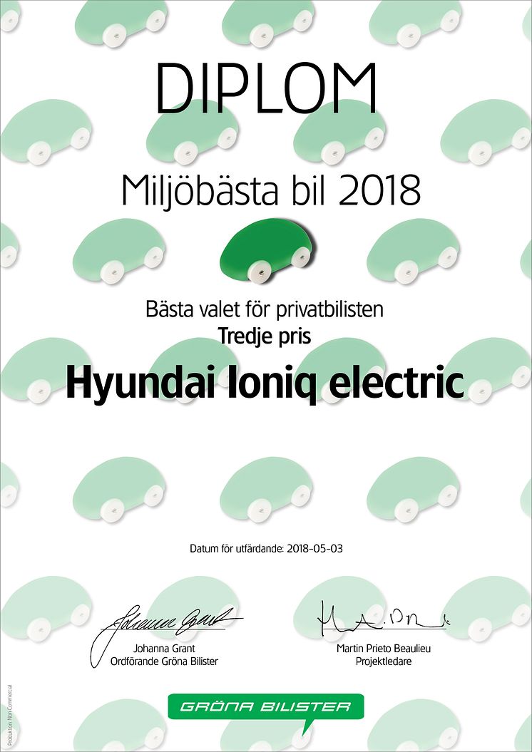 GB MBB2018 Diplom Privat 3 Hyundai Ioniq electric