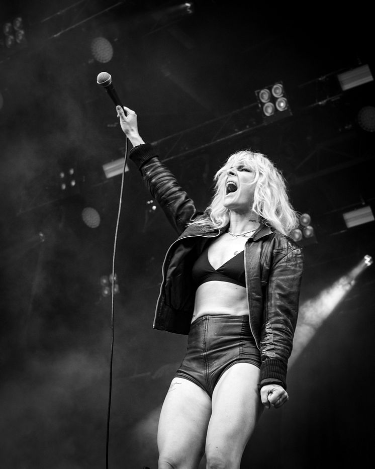 The Sounds live 2022