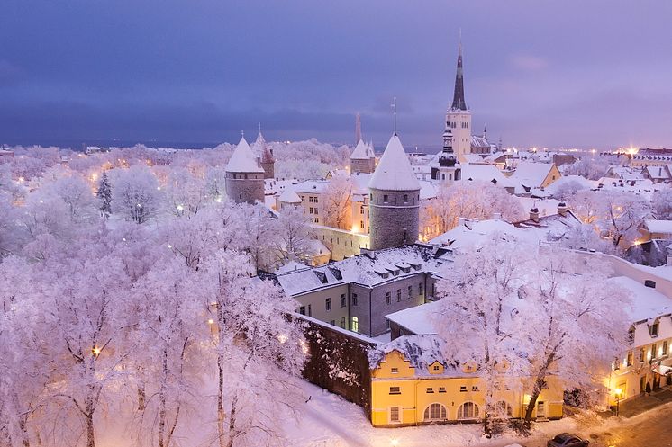 Snowy Tallinn_Malle Kolnes