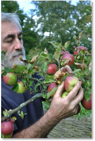  En smak för alla i årets fruktutställning