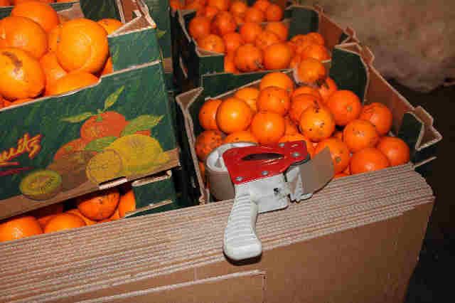 Op Quadrant Oranges used as coverload for smuggling
