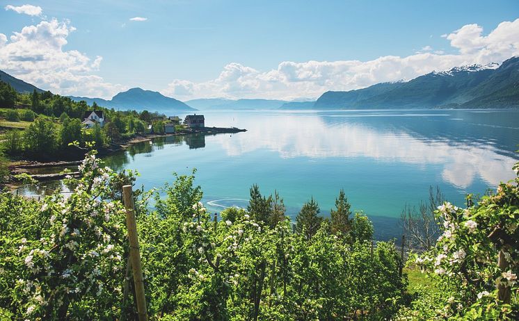 Romantischer Hardangerfjord 
