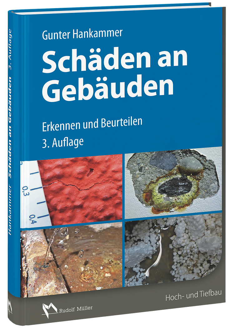 Schäden an Gebäuden 3D (tif)