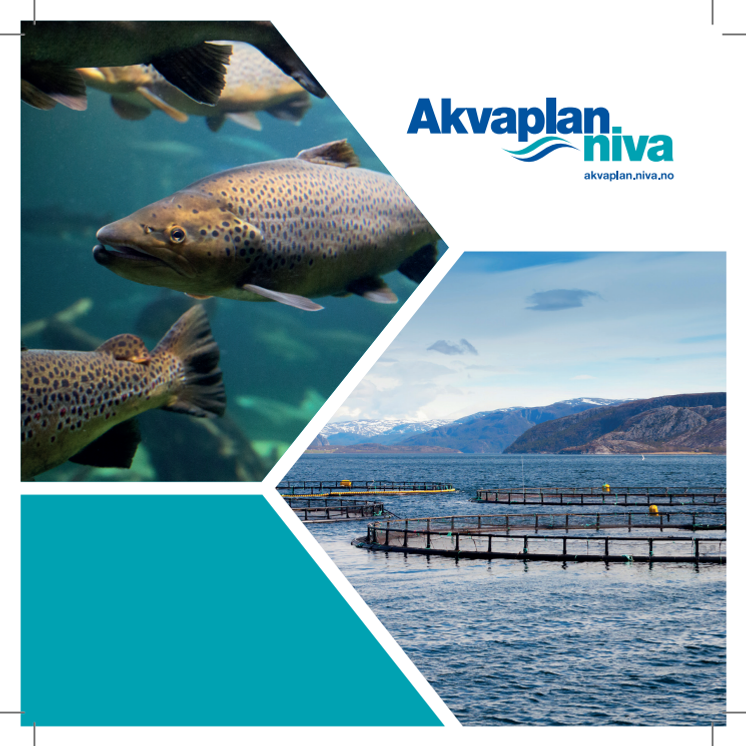 Brosjyre Akvakultur-rådgivning og forskning Akvaplan-niva