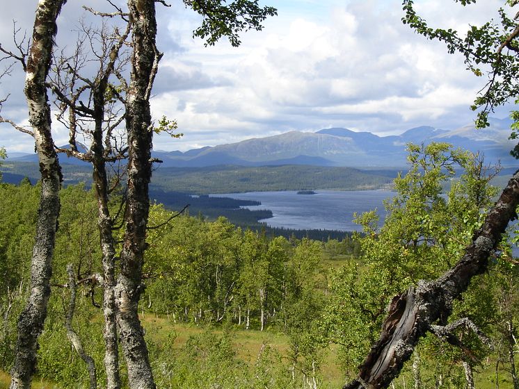 Foto av Mikael Strömberg, Malgovik, Vilhelmina, över Marsfjällsmassivet Västerbotten.jpg