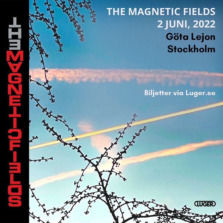The-Magnetic-Fields_Instagram_1080x1080.jpg