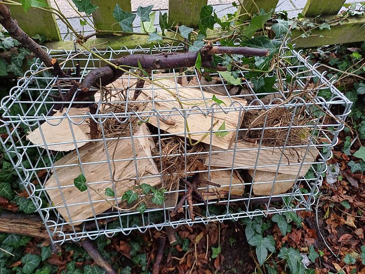 St Albans bug shelters