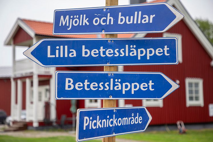 Betessläppen är en norrländsk folkfest