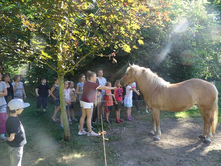 Geschwisterkinder fahren ins Sommerfreizeitcamp nach Oberau