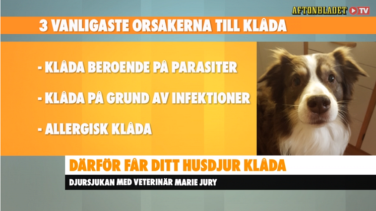 Klåda hd