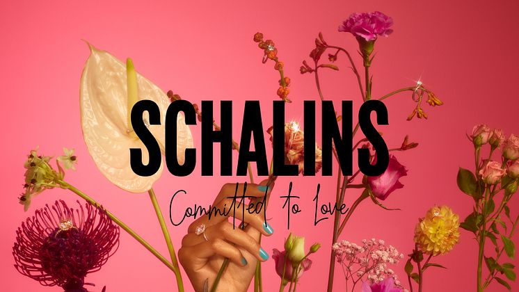 schalins header