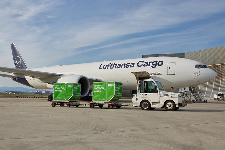 Grüne Container vor Lufthansa Cargo Frachter.jpg