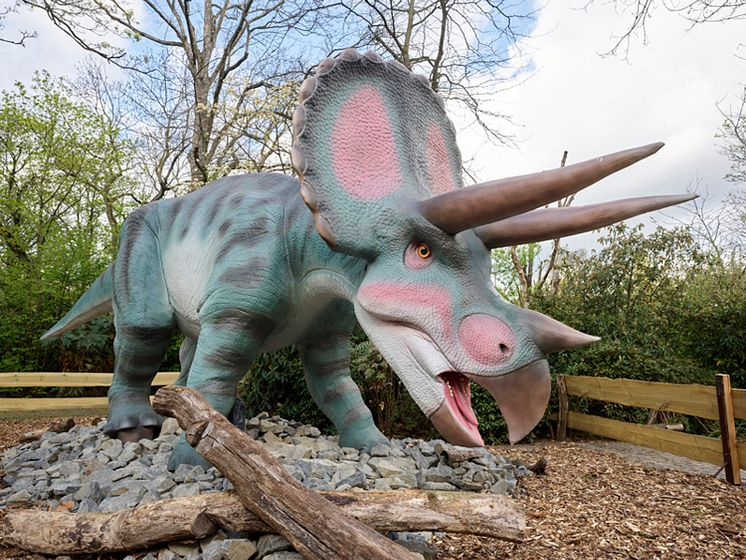 Triceratops im Zoo Leipzig 