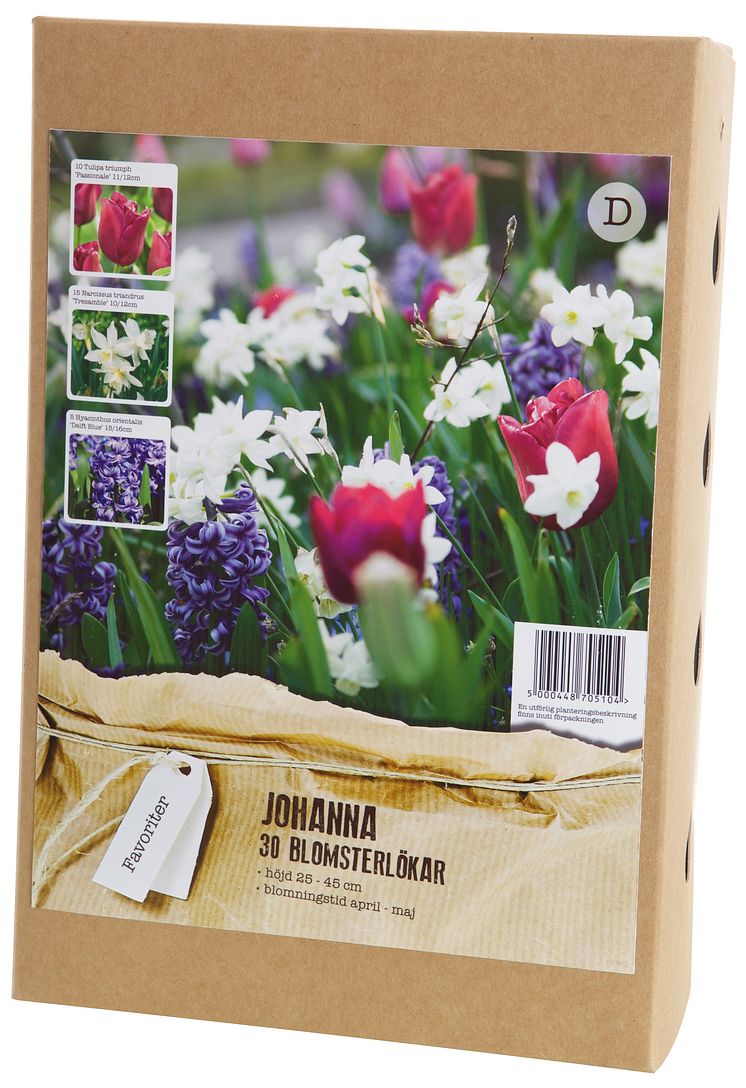 Blomsterlök vårblommande