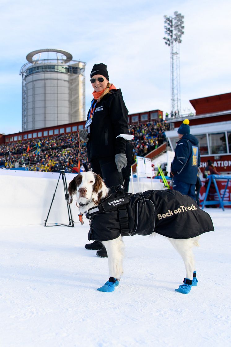Dopingsökhunden Molly vinter