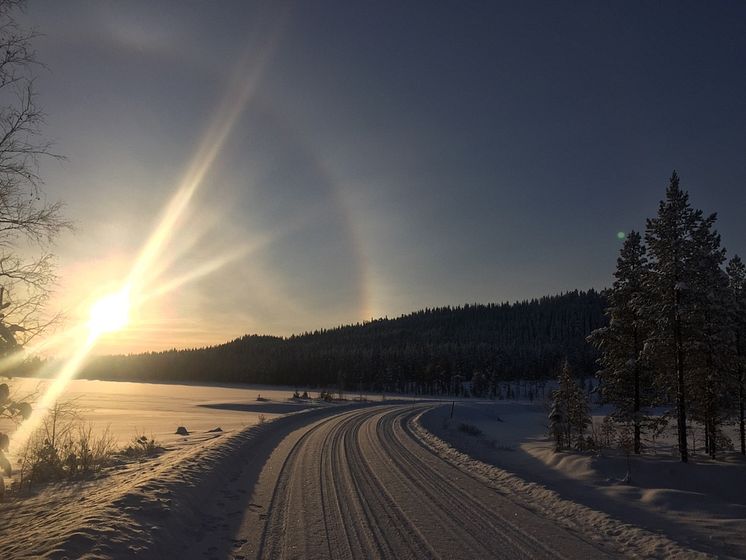 Vasaloppsspåret 15 januari 2016