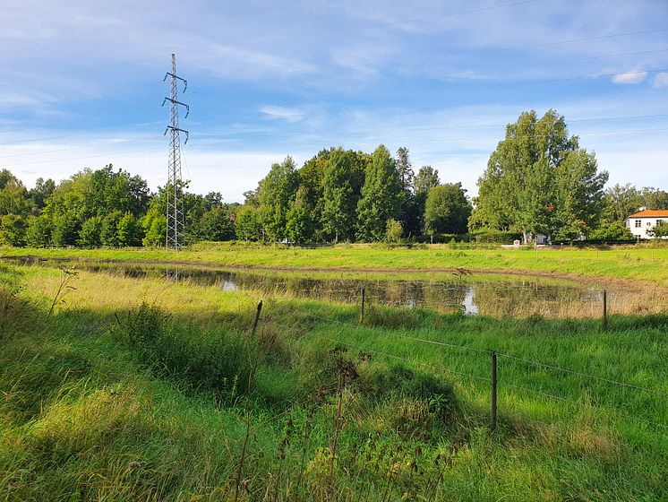 Dagvattendamm Strömsborg