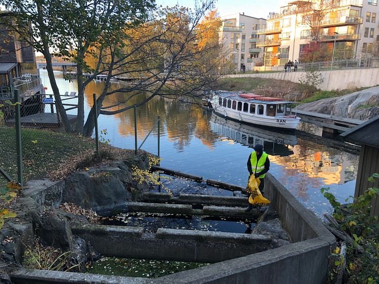 181025 Fisktrappestäd Sickla Sluss