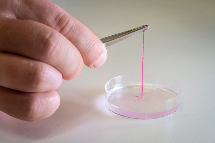 Närbild på tråd av röd hydrogel.